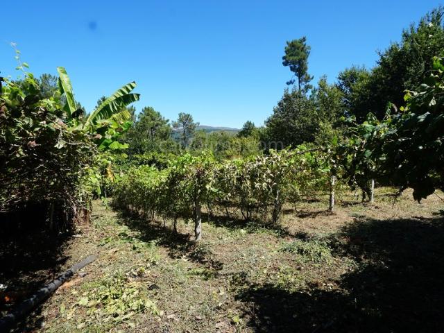 Terreno venda em Monção, Viana Do Castelo