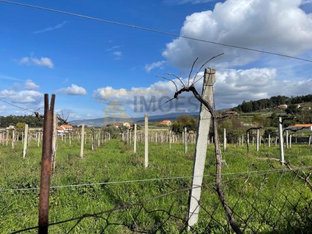 Terreno venda em Monção, Viana Do Castelo