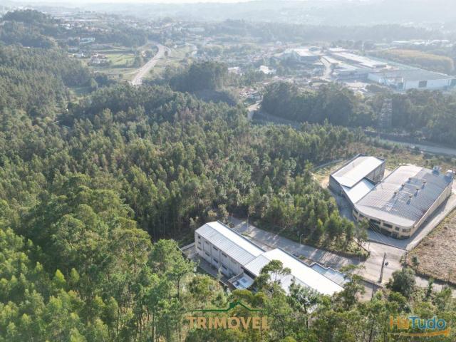 Terreno venda em Oliveira De Azeméis, Aveiro