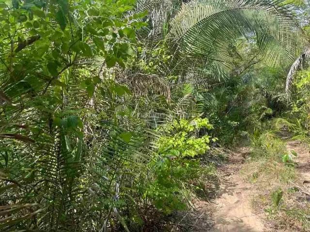 Terreno venda em Região Geográfica Imediata de Teresina, Região Integrada de Desenvolvimento da Grande Teresina