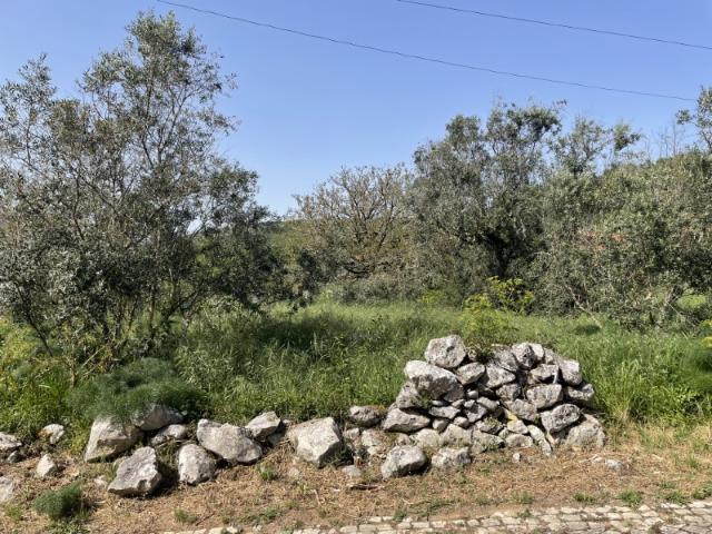 Terreno venda em Porto De Mós, Leiria