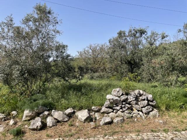 Terreno venda em Porto De Mós, Leiria