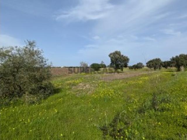 Terreno venda em Craveira do Norte, Montijo