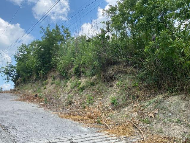 Terreno en venta en Tantoyuca
