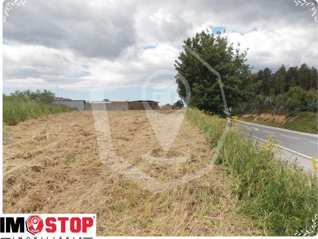 Terreno venda em Oliveira Do Bairro, Aveiro