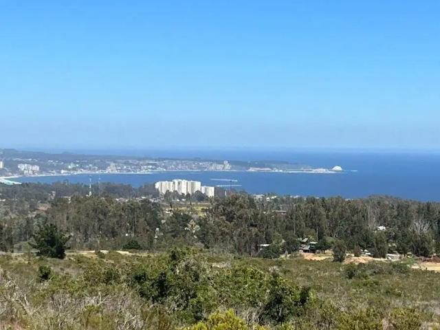 Terreno en venta en Algarrobo, Valparaíso