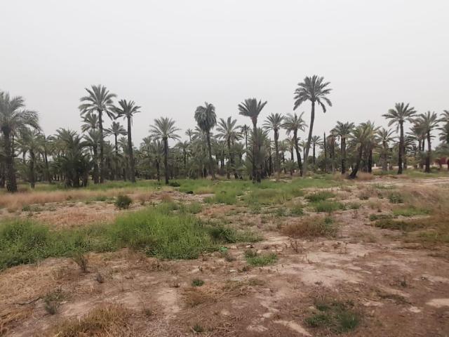 Terreno en venta en Carrús Oest, el Baix Vinalopó