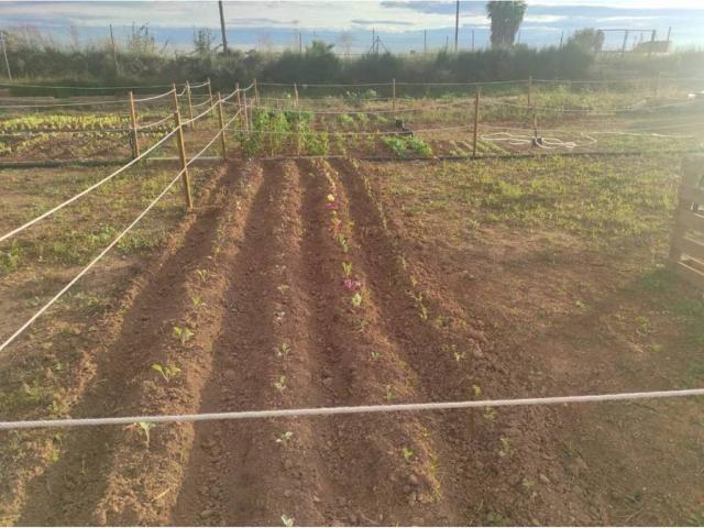 Terreno en alquiler en l'Horta Sud, Valencia
