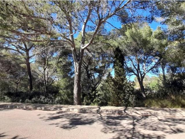 Terreno en alquiler en Raiguer, Baleares