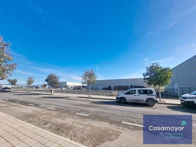 Terreno en alquiler en Alicante