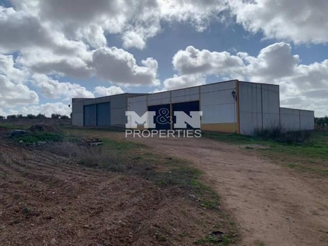 Terreno en venta en Tierra de Barros, Extremadura
