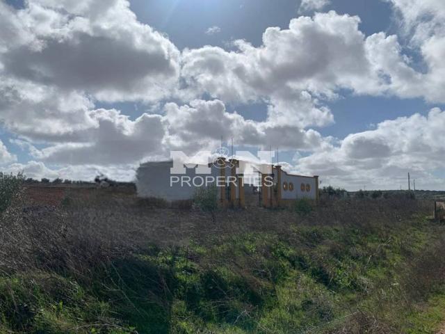 Terreno en venta en Tierra de Barros, Extremadura