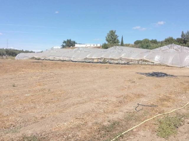 Terreno en alquiler en Sierra de Cádiz, Andalucía
