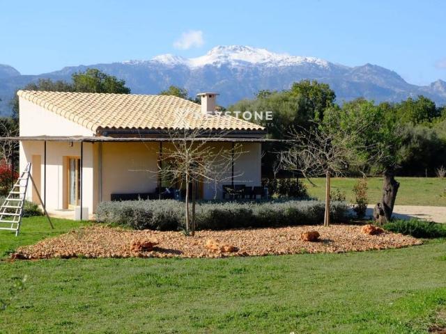 Terreno en alquiler en Raiguer, Baleares