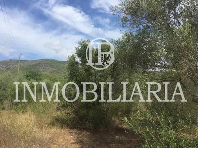 Terreno en alquiler en la Plana Alta, Valencia