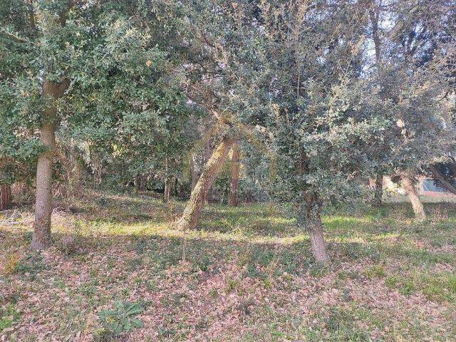 Terreno en alquiler en Vallès Oriental, Catalunya