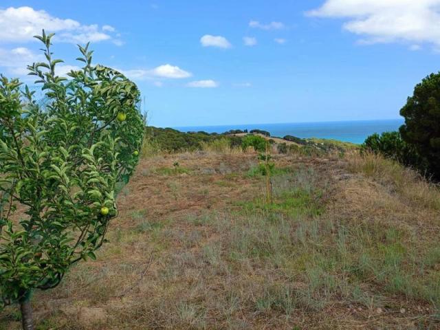 Terreno en alquiler en Maresme, Catalunya