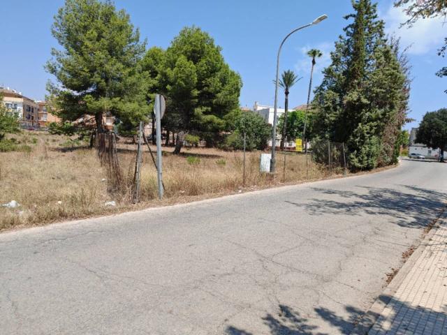Terreno en alquiler en la Ribera Alta, Valencia