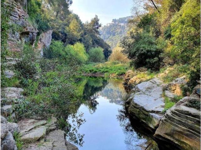 Terreno en alquiler en Castellar Del Vallès