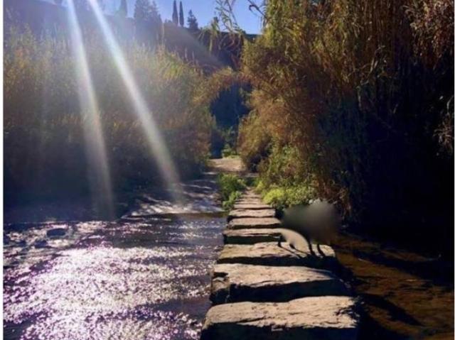Terreno en alquiler en Vallès Occidental, Catalunya