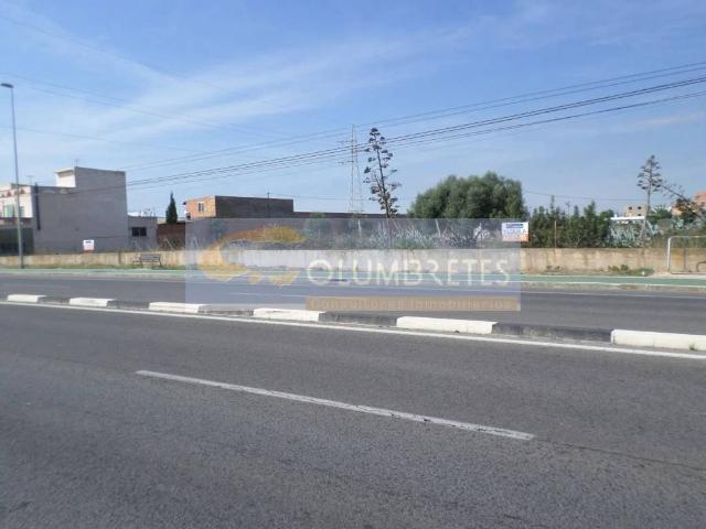 Terreno en alquiler en la Plana Alta, Valencia