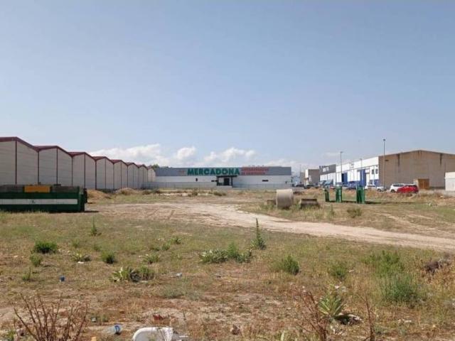Terreno en alquiler en Comarca de la Vega de Granada, Andalucía