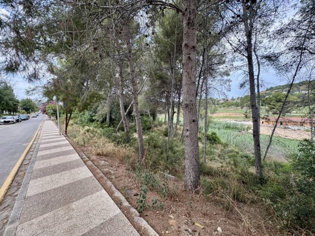 Terreno en alquiler en Urbanización El Bosque, La Hoya de Buñol