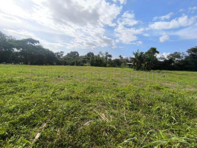 Terreno alquiler en Ciudad de Panamá, Panamá