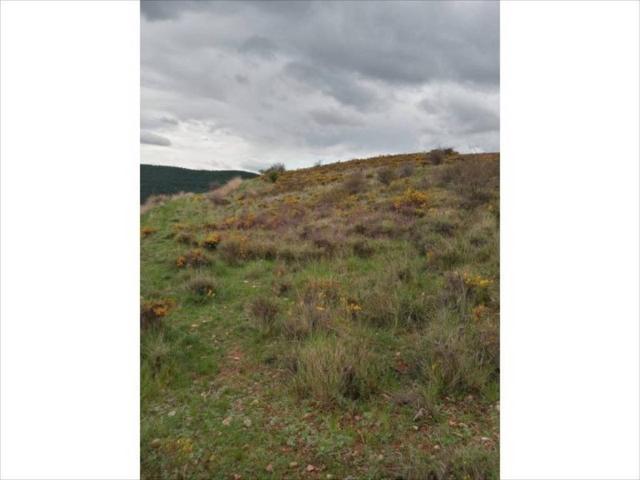 Terreno en alquiler en Comunidad de Calatayud, Aragón