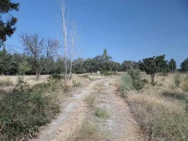 Terreno en alquiler en Colmenar Viejo, Madrid