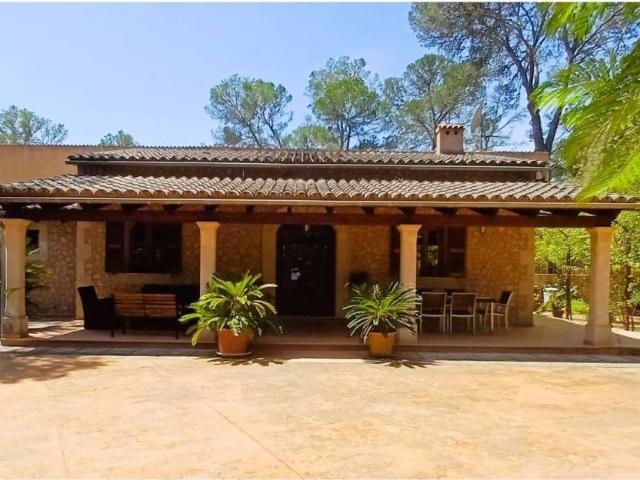 Terreno en alquiler en Costitx Terreno en alquiler en Costitx