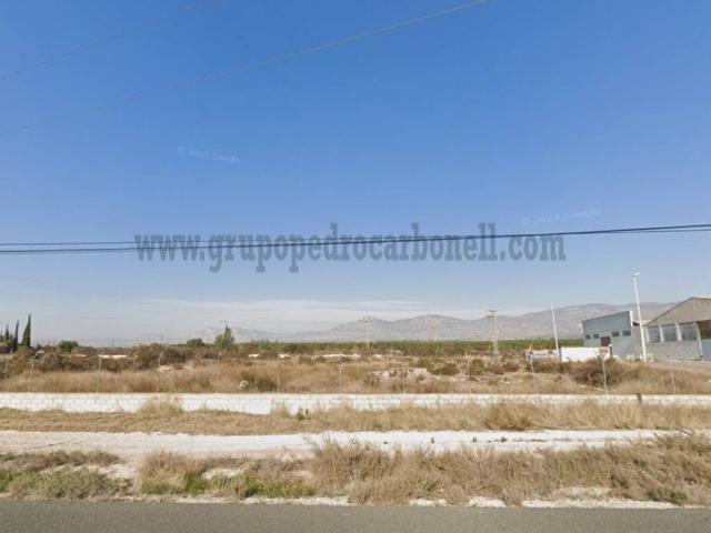 Terreno en alquiler en Crevillent