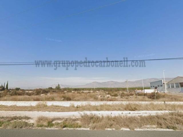 Terreno en alquiler en el Baix Vinalopó, Valencia