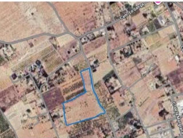 Terreno en alquiler en Torrellano, el Baix Vinalopó