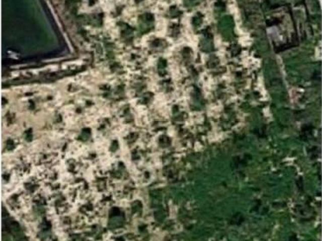 Terreno en alquiler en el Baix Vinalopó, Valencia