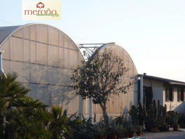Terreno en alquiler en Elche