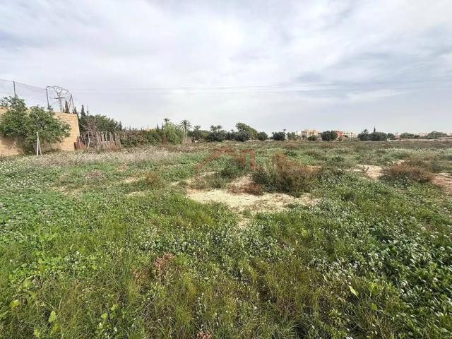 Terreno en alquiler en el Baix Vinalopó, Valencia