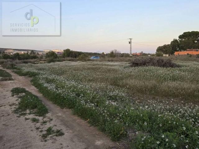 Terreno en alquiler en el Baix Vinalopó, Valencia