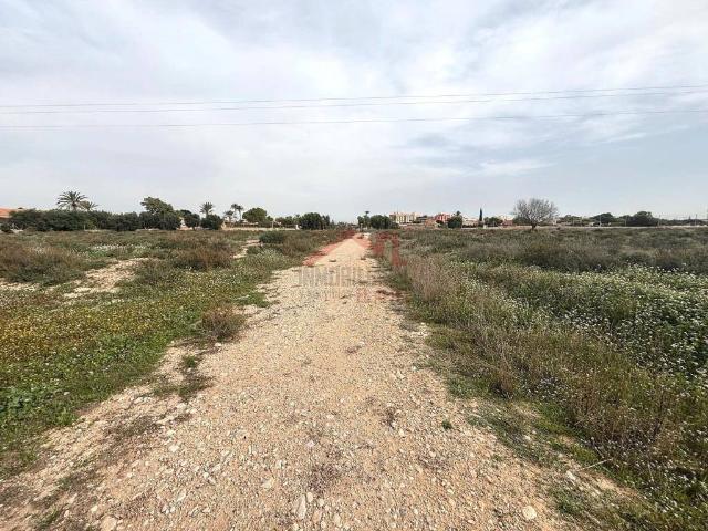 Terreno en alquiler en Elche, Valencia
