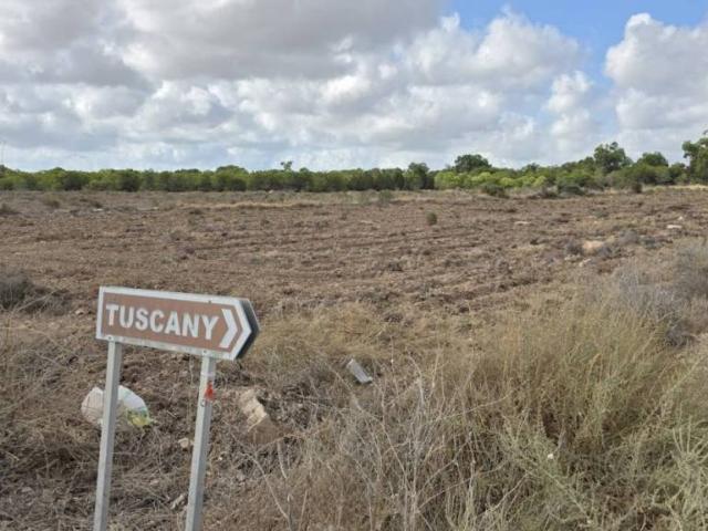 Terreno en alquiler en el Baix Vinalopó, Valencia