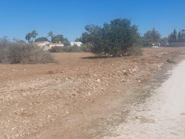 Terreno en alquiler en Elche