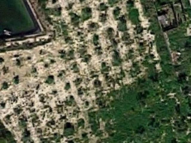 Terreno en alquiler en Elche
