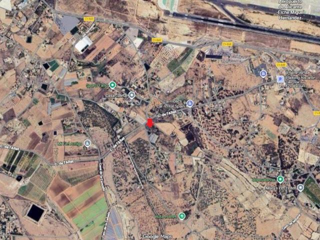 Terreno en alquiler en Elche, Valencia