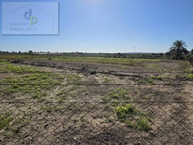 Terreno en alquiler en el Baix Vinalopó, Valencia
