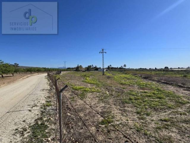 Terreno en alquiler en el Baix Vinalopó, Valencia