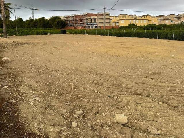 Terreno en alquiler en el Baix Segura / La Vega Baja, Valencia