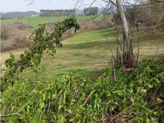 Terreno en alquiler en Gijón, Asturias