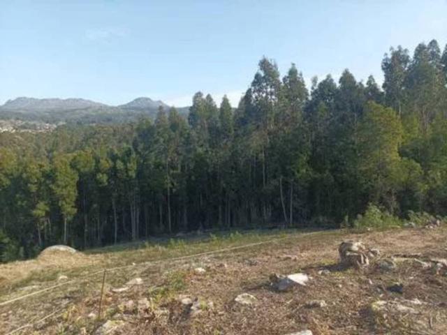 Terreno en alquiler en Vigo, Galicia