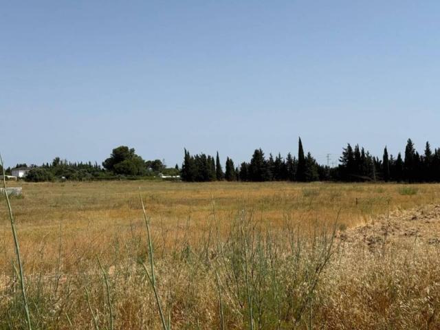 Terreno en venta en Campiña de Jerez, Andalucía