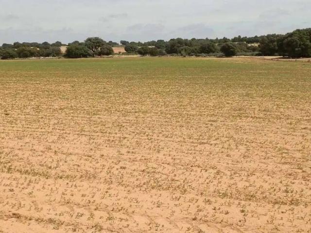 Terreno en alquiler en La Roda, Castilla-La Mancha